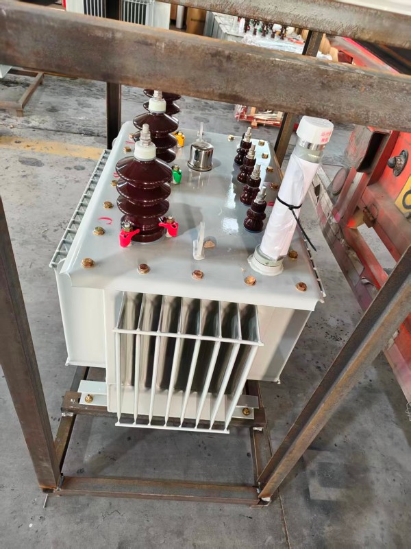 S13‑1000kVA <a href='https://yangming.xdbyq.cn/youjinshi/' target='_blank' title='阳明油浸式变压器'><strong>阳明油浸式变压器</strong></a> 大型厂区 S13 阳明阳明阳明油浸式变压器 S13‑1000kVA 阳明阳明阳明油浸式变压器 大型厂区 S13 阳明阳明阳明油浸式变压器